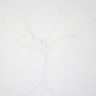 2.2g / Cm2 Batu Kuarsa Carrara Putih Dengan Panel Dinding Interior